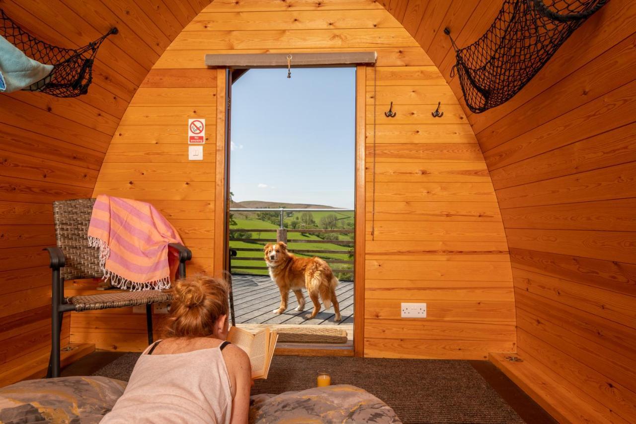 Ty Grug Pods Hotel Bryngwyn Ngoại thất bức ảnh